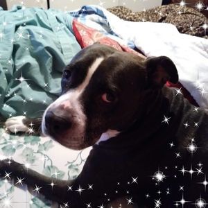 Meet your Posher, Doreen